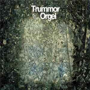 Trummor & Orgel - Visions mp3