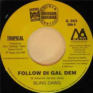 Bling Dawg / Breeze - Follow Di Gal Dem / What Di Hell mp3