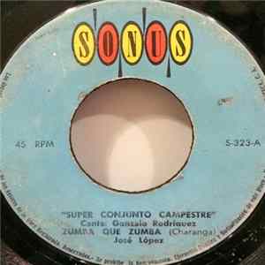 Pedro Y Su Super Conjunto Campestre - Zumba Que Zumba mp3