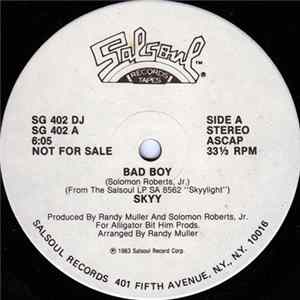 Skyy - Bad Boy mp3
