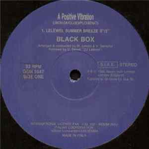 Black Box - A Positive Vibration mp3