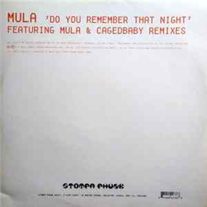 Mula - Do You Remember That Night mp3