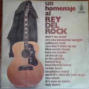 Unknown Artist - Un Homenaje Al Rey Del Rock mp3