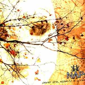 NAP - Clever Dire, Oddness In Action mp3