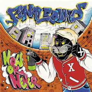 Final Round - Now Or Never mp3