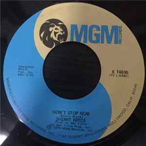 Sherry Bryce - Don't Stop Now mp3