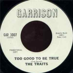The Traits - Too Good To Be True mp3