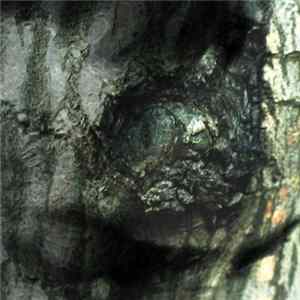 Yann Tiersen - The Waltz Of The Monsters mp3