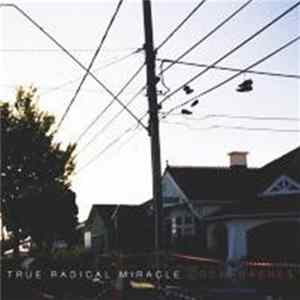 True Radical Miracle - Cockroaches mp3