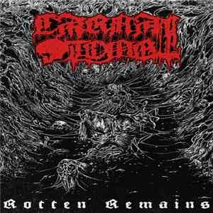 Carnal Tomb - Rotten Remains mp3