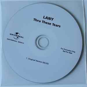 LANY - Thru These Tears mp3
