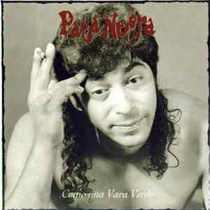 Pata Negra - Como Una Vara Verde mp3