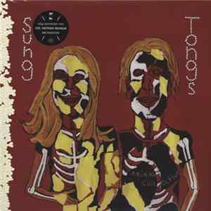 Animal Collective - Sung Tongs mp3