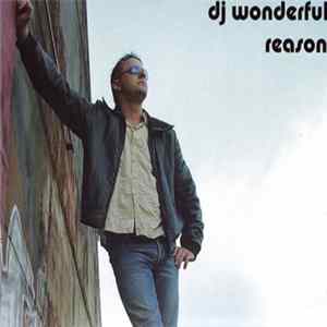 DJ Wonderful - Reason mp3