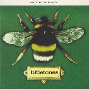 The Bluetones - Slight Return mp3