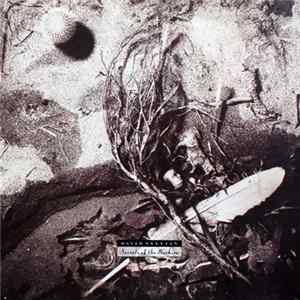 David Sylvian - Secrets Of The Beehive mp3