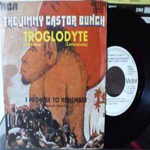 The Jimmy Castor Bunch - Troglodyte (Cavernícola) / I Promise To Remember (Prometo Recordar) mp3