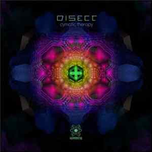Disect - Cymatic Therapy mp3