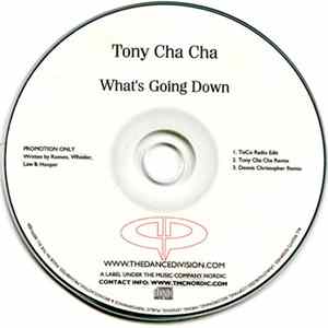 Tony Cha Cha - What's Going Down mp3