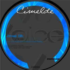 James Silk - Voices mp3