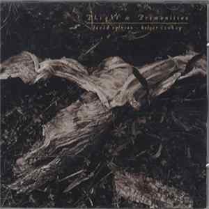 David Sylvian + Holger Czukay - Plight & Premonition mp3
