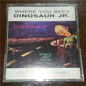 Dinosaur Jr. - Where You Been mp3