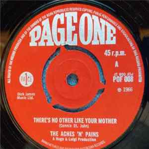 The Aches 'N Pains - There's No Other Like Your Mother mp3