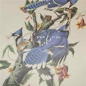 Various - The Lazer Bather E.P mp3