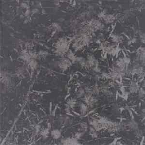 House Of Low Culture - Poisoned Soil mp3