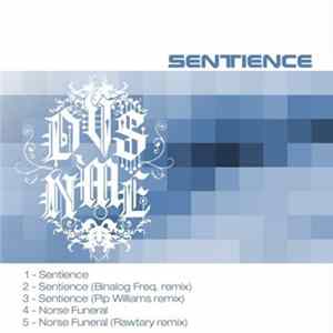 DVS NME - Sentience mp3