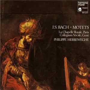 J.S. Bach - La Chapelle Royale, Paris • Collegium Vocale, Gent • Philippe Herreweghe - Motets mp3