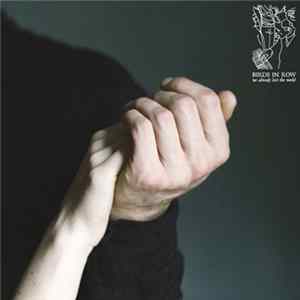Birds In Row - We Already Lost The World mp3