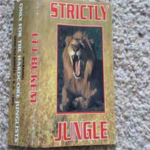 LTJ Bukem - Strictly Jungle mp3