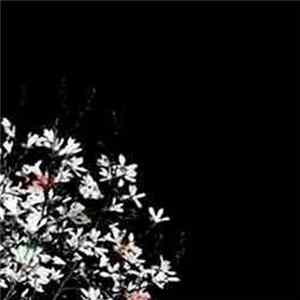 Wilson / Lee / Bentley - Escondido Dreams mp3