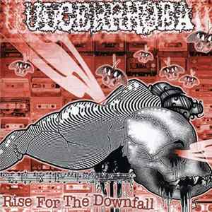 Ulcerrhoea - Rise For The Downfall mp3