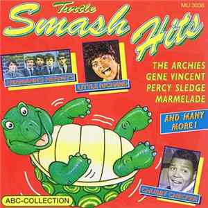 Various - Turtle Smash-Hits mp3