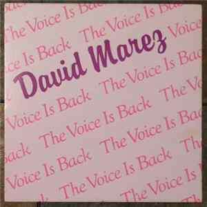 David Marez - The Voice Is Back mp3