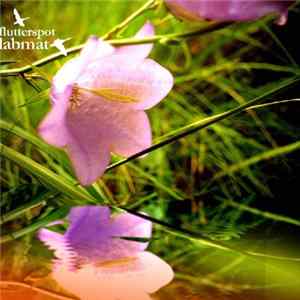 Flutterspot - Labmat mp3