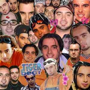 Various - Boy Bandzzz mp3