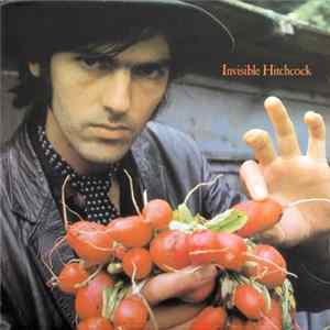 Robyn Hitchcock - Invisible Hitchcock mp3