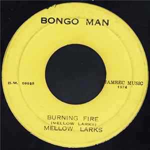 Mellow Larks - Burning Fire mp3