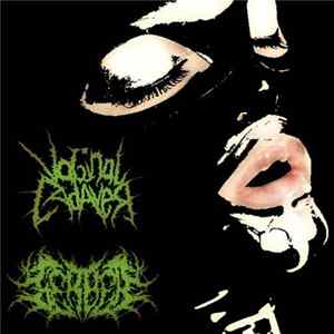 Vaginal Cadaver, GerbeЯ - Gerber & Vaginal Cadaver Split mp3