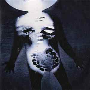 UNKLE - Live Mixes mp3