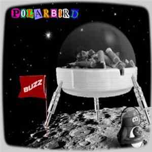 Polarbird - Buzz mp3