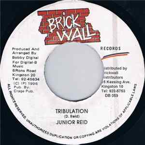 Junior Reid - Tribulation mp3