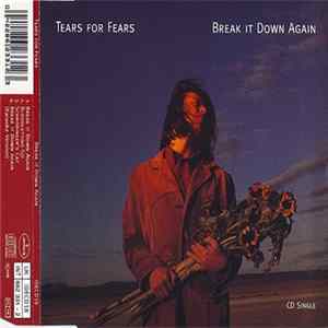 Tears For Fears - Break It Down Again mp3