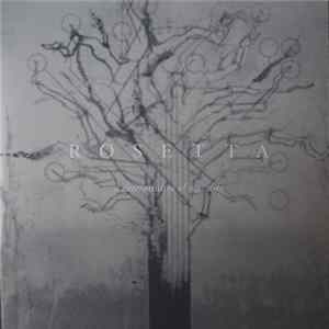 Rosetta - A Determinism Of Morality mp3