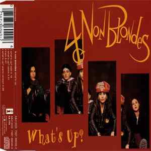 4 Non Blondes - What's Up? mp3