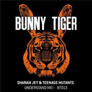 Sharam Jey & Teenage Mutants - Understand Me! mp3
