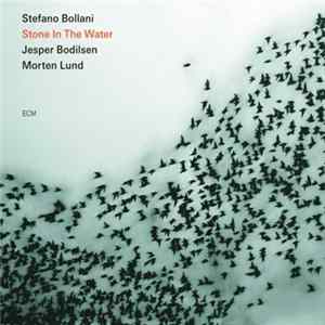 Stefano Bollani Trio - Stone In The Water mp3